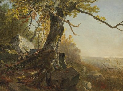 Træ i et landskab af John Frederick Kensett