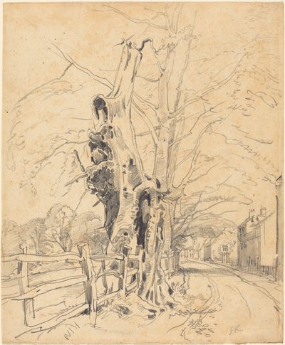 Træer ved et stakit af John Frederick Kensett