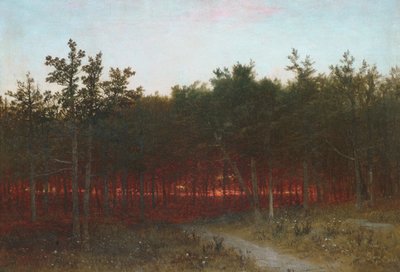 Tusmørke i cedertræerne ved Darien, Connecticut af John Frederick Kensett