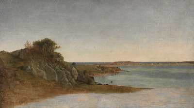 Udsigt nær Newport af John Frederick Kensett