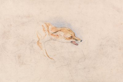 Studie af en hugsiddende ræv, der vender mod højre af John Frederick Lewis