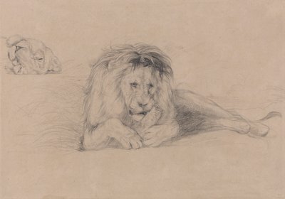 Studie af en løve og undersøgelse af en løvindes hoved af John Frederick Lewis