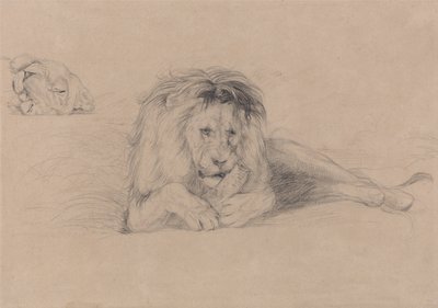 Studie af en løve og studie af en løvindes hoved af John Frederick Lewis