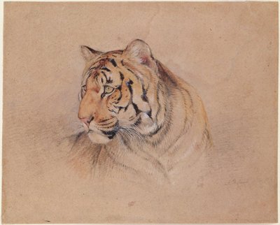 Tiger af John Frederick Lewis