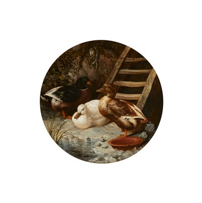 Ænder på en flodbred (olie på lærred) af John Frederick Herring Senior