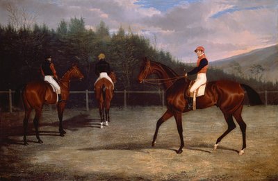 Starten på Goodwood Gold Cup af John Frederick Herring Senior