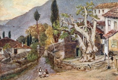 Andritsaena. Hvilestedet for Apollontemplet i Bassae af John Fulleylove