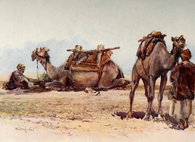 Studie af kameler og ledsagere, 1902. af John Fulleylove