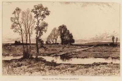 Hede i New Forest, nær Lyndhurst (kobberstik) af John Fullwood