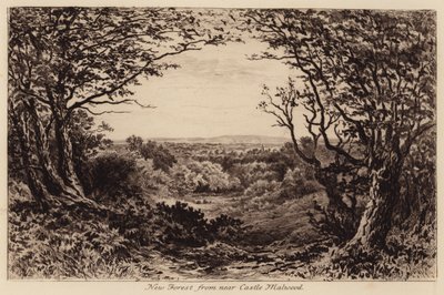 New Forest fra nærheden af Castle Malwood (gravering) af John Fullwood