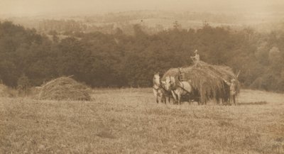 Læsning af hø, 1890-1900 (foto) af John G. Bullock