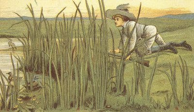 Andeskydning (farve litho) af John George (after) Sowerby