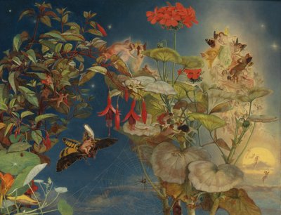 Skærsommernattens feer af John George Naish