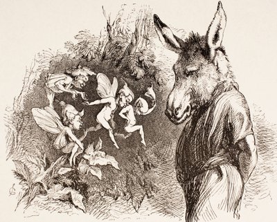 Illustration til A Midsummer Night