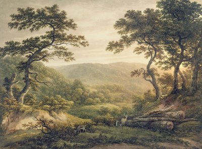Needlewood Forest, Hampshire (akvarel på papir) af John Glover
