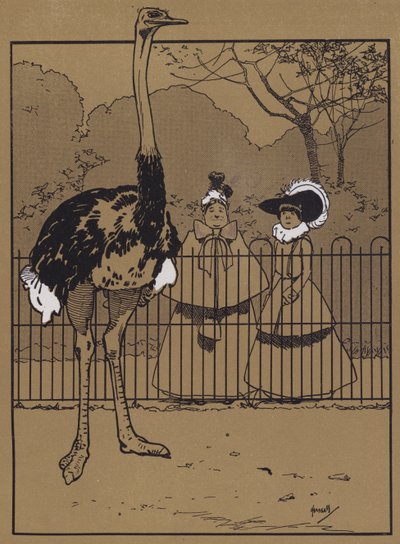Strudsefjer (farve litho) af John Hassall