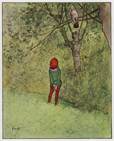 Jay (farve litho) af John Hassall