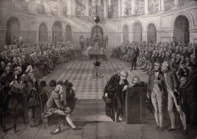 The Irish House of Commons, AD 1790, College Green, Dublin, fra 