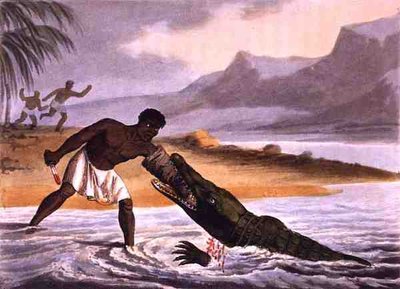 De afrikanske krokodillejægere, graveret af Matthew Dubourg (fl.1785-1820), udgivet af Edward Orme af John Heaviside (after) Clark