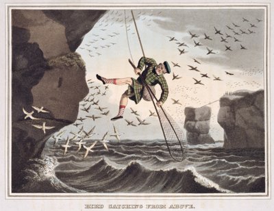 Bird Catching from Above, graveret af Matthew Dubourg (fl.1785-1820), udgivet af Edward Orme, 1813 af John Heaviside Clark