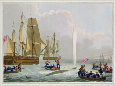Boats Approaching a Whale, graveret af Matthew Dubourg (fl.1785-1820), udgivet af Edward Orme, 1813 af John Heaviside Clark