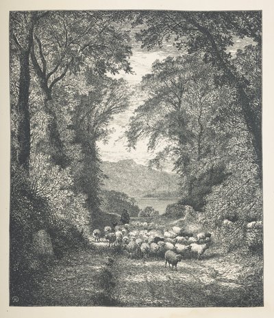 Plade 4. Får bliver drevet af en hyrde langs en sti.  Naturbilleder. En serie på tredive originale illustrationer tegnet på træ af J. H. Dell og graveret af R. Paterson.  John Henry Dell af John Henry Dell