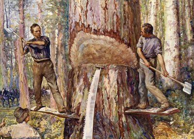 Tømmermænd skærer træ (farve litho) af John Henry Frederick (after) Bacon