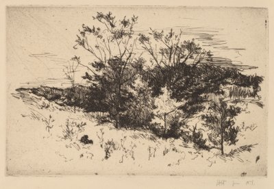 Efterår Avondale af John Henry Twachtman