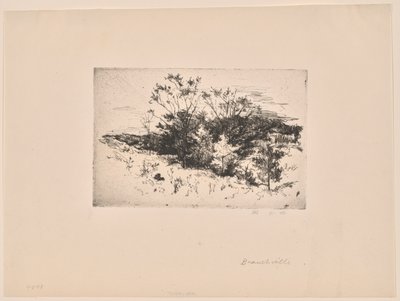 Efterårslandskab af John Henry Twachtman
