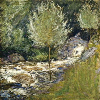 Horseneck Falls, Greenwich, Connecticut, af John Henry Twachtman