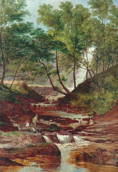 Cat Holes Dam Fall i Todmorden, 1870 af John Holland