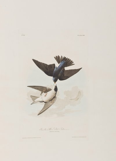 Illustration fra 