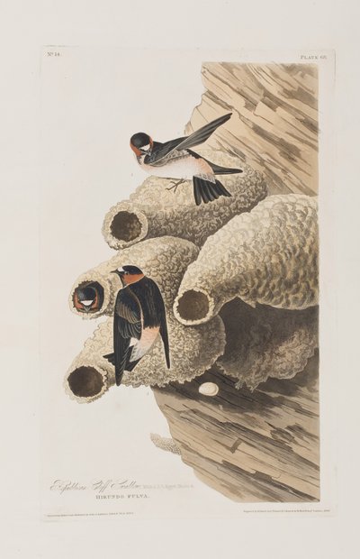 Illustration fra 