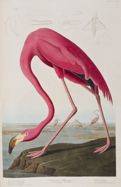 Illustration fra 