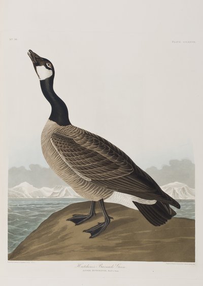 Illustration fra 