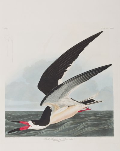 Illustration fra 