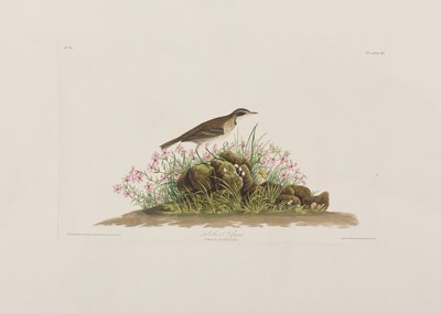 Illustration fra 