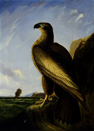 Washington Havørn af John James Audubon