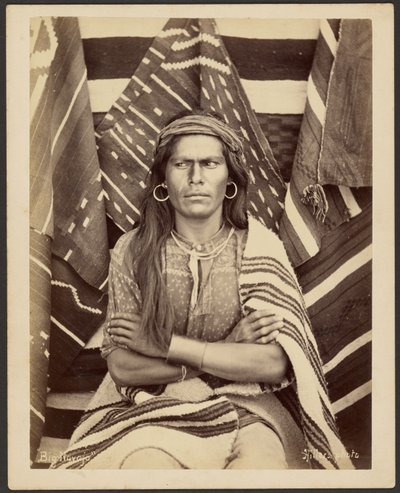 Big Navajo af John K. Hillers