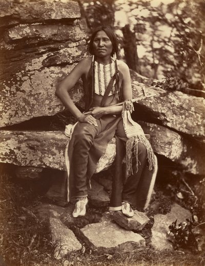 [Lille Bjørn, Cheyenne] af John K. Hillers