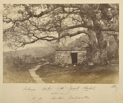 Valonea Oaks med græsk kapel ovenover. B.H. Renkioi, Dardanellerne af John Kirk