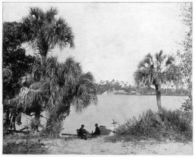 Indian River, Florida, slutningen af det 19. århundrede af John L. Stoddard