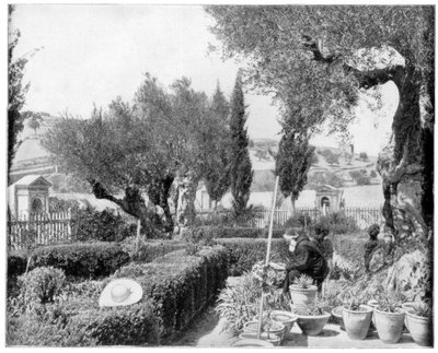 Getsemane Have, Palæstina, slutningen af det 19. århundrede. af John L. Stoddard