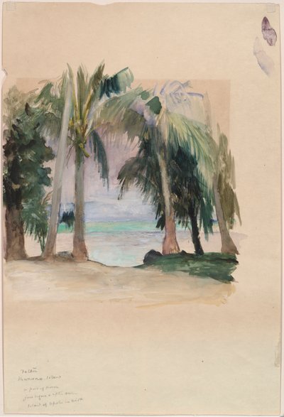 Palmer ved havet af John La Farge