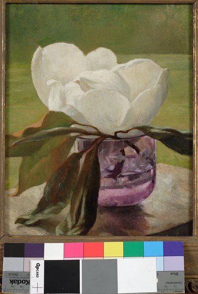 Magnolia blomst af John La Farge or Lafarge