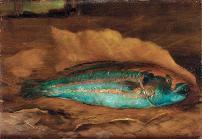 Studie af papegøjefisken, Samoa, 1890 af John La Farge or Lafarge