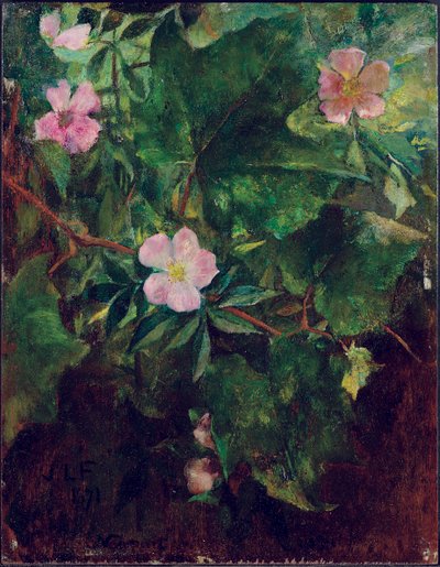 Wild Rose and Grape Vine, Study From Nature, 1871 af John La Farge or Lafarge