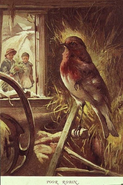 Stakkels Robin, illustration fra 