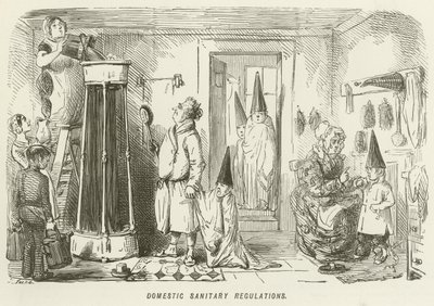Indenlandske sanitære regler af John Leech