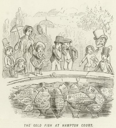 Guldfisken ved Hampton Court af John Leech